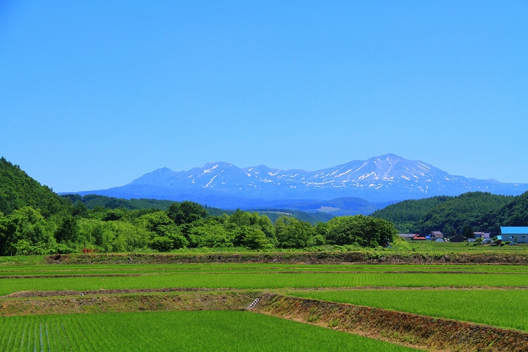 遠く